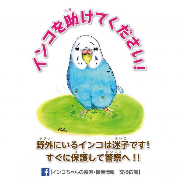 コメントの画像