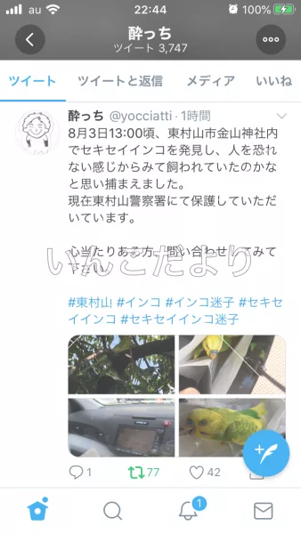 コメントの画像