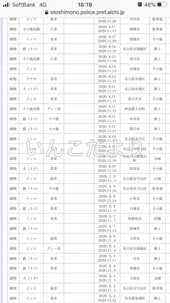 コメントの画像