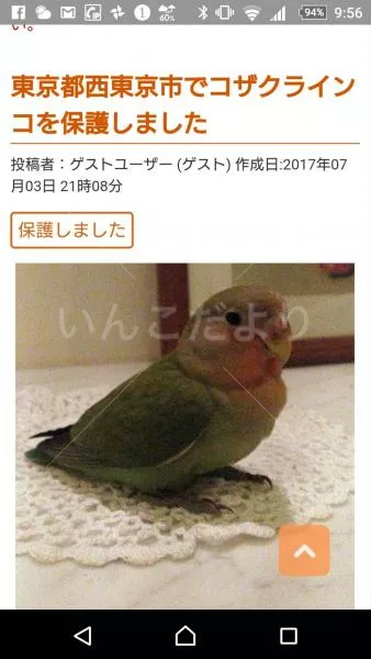 コメントの画像