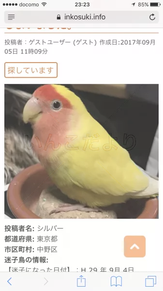 コメントの画像