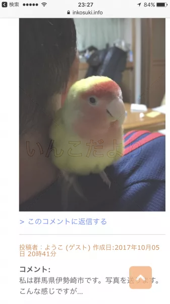 コメントの画像