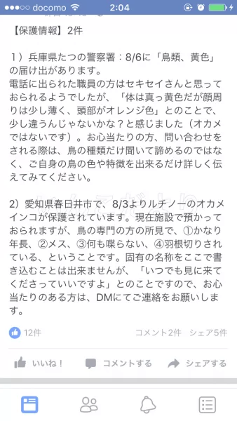 コメントの画像