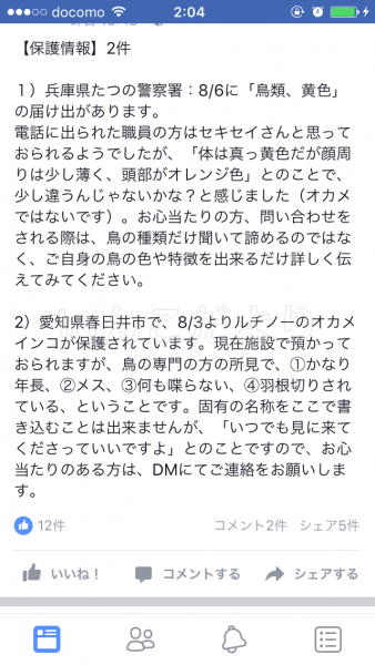 コメントの画像