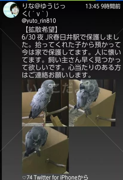 コメントの画像