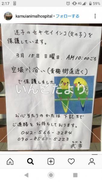 コメントの画像