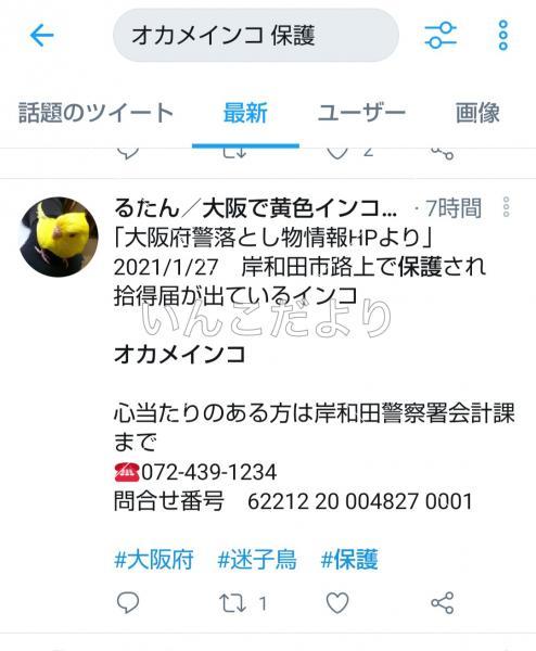 コメントの画像