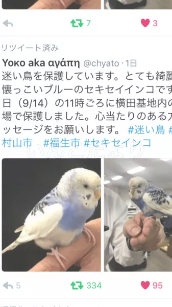 コメントの画像