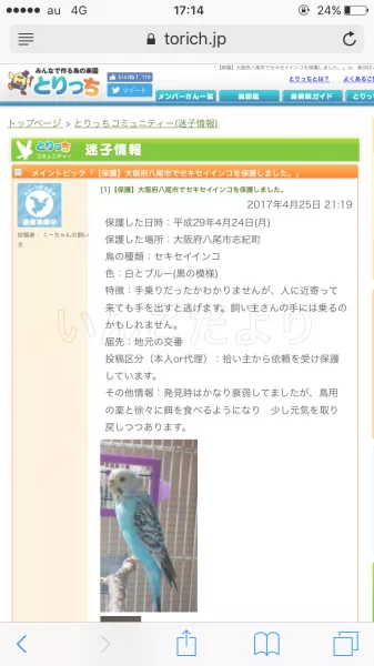 コメントの画像