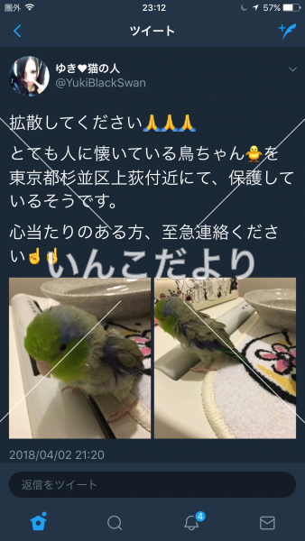 コメントの画像