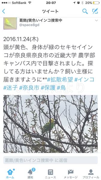 コメントの画像