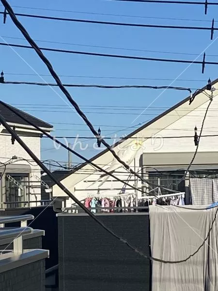 コメントの画像