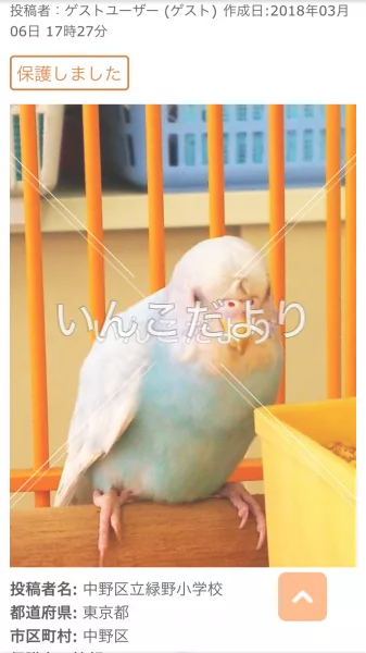 コメントの画像