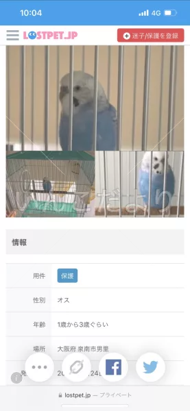 コメントの画像