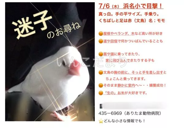 コメントの画像