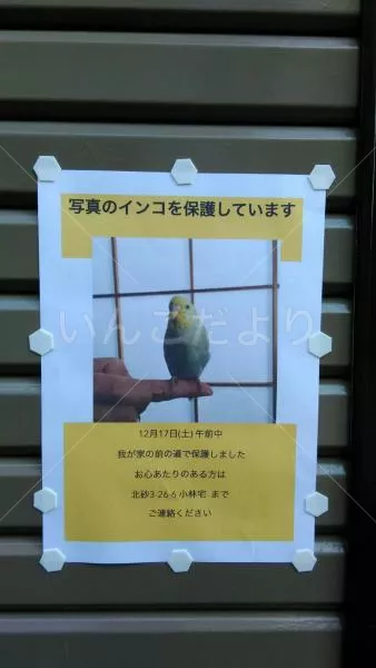 コメントの画像