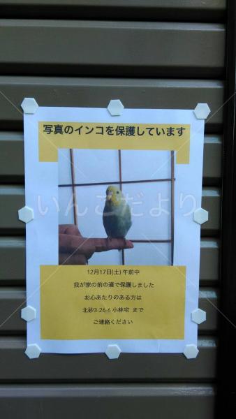 コメントの画像