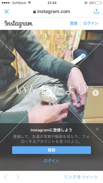 コメントの画像