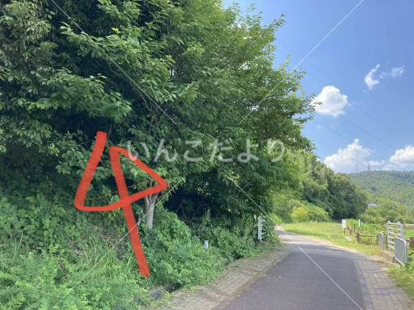 コメントの画像