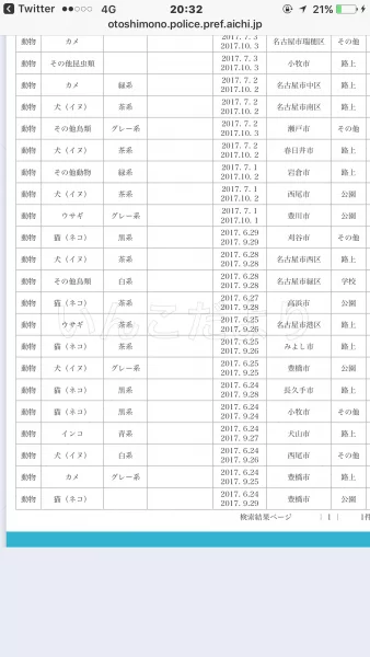 コメントの画像