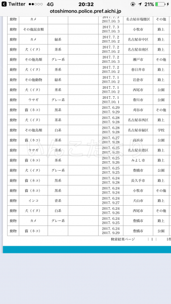 コメントの画像