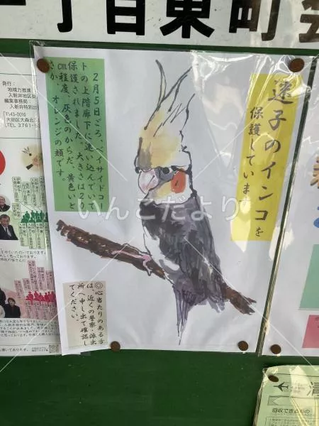 コメントの画像