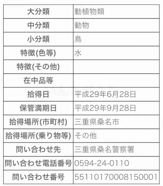 コメントの画像