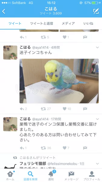 コメントの画像