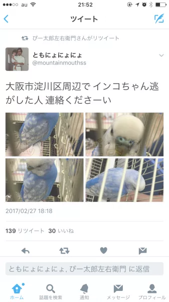 コメントの画像