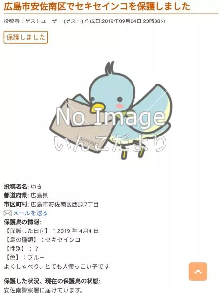 コメントの画像