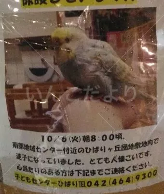 コメントの画像