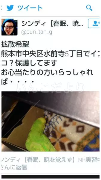 コメントの画像