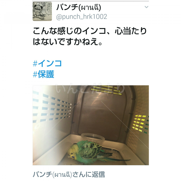 コメントの画像