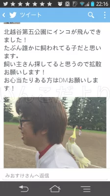 コメントの画像