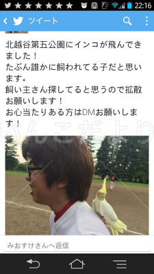 コメントの画像