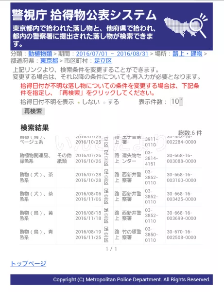 コメントの画像