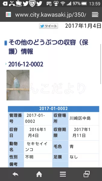 コメントの画像