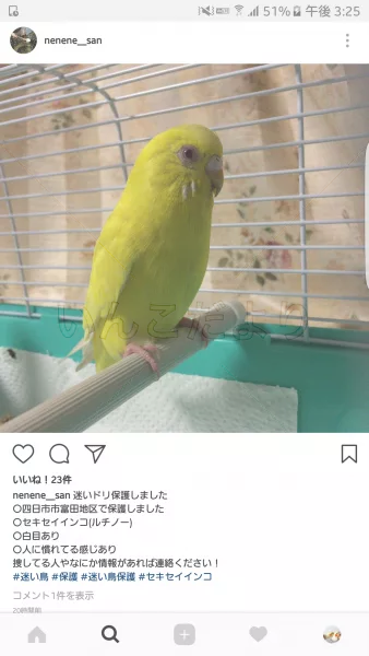 コメントの画像