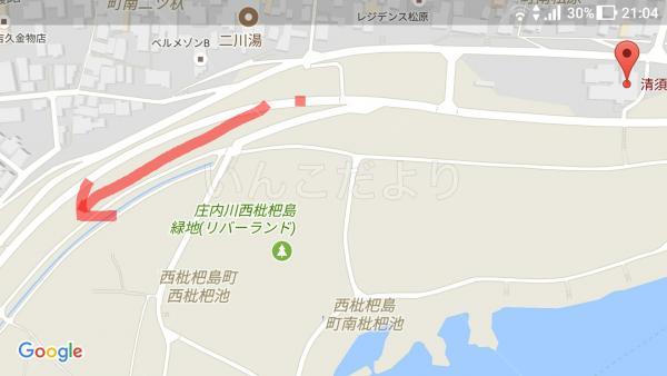 コメントの画像