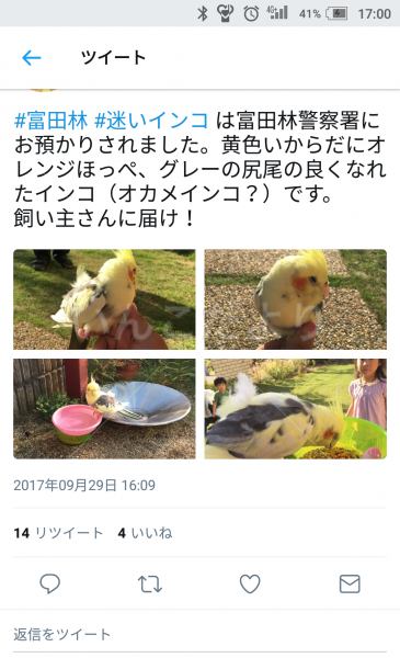コメントの画像