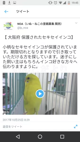 コメントの画像