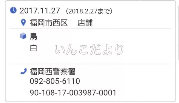 コメントの画像