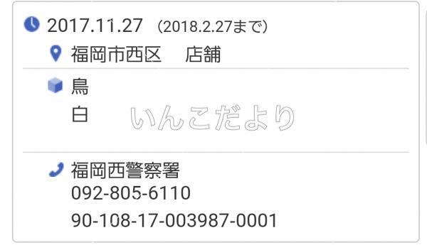 コメントの画像