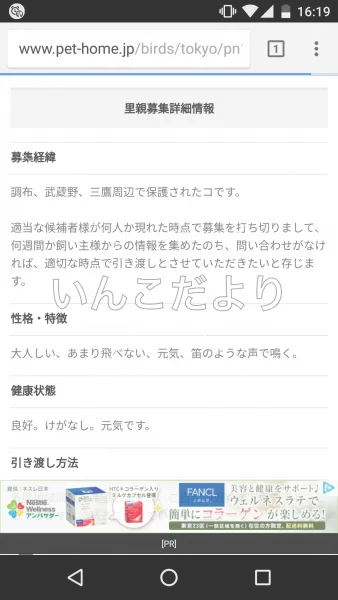 コメントの画像