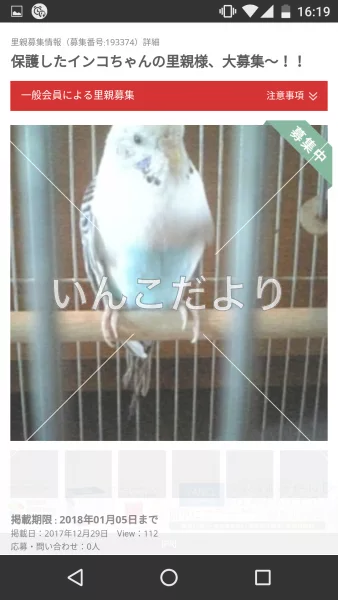 コメントの画像