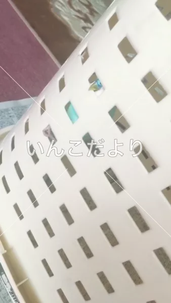 コメントの画像