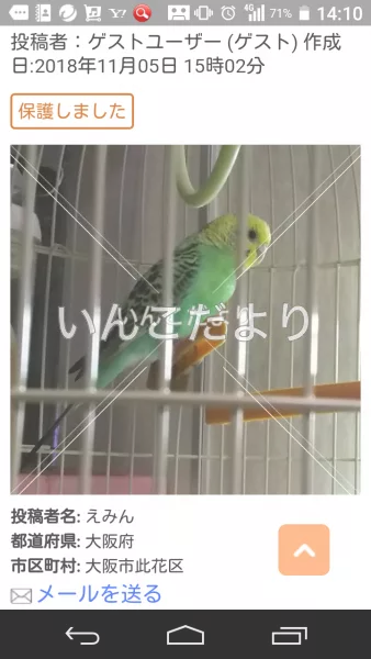 コメントの画像