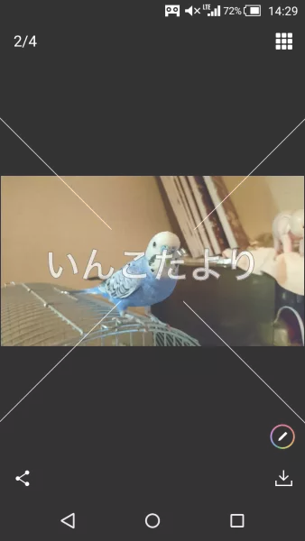 コメントの画像