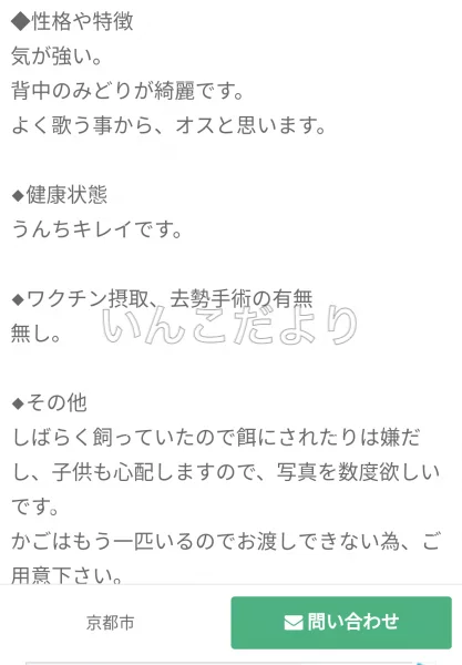 コメントの画像