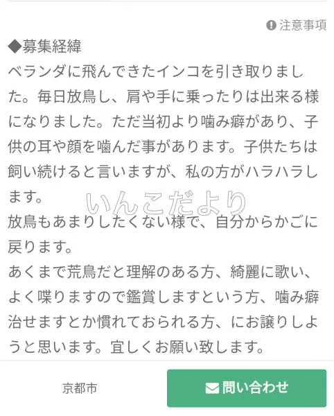 コメントの画像